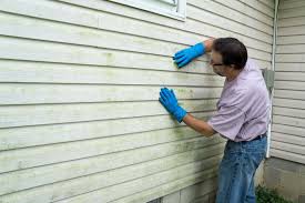 Best Composite Siding  in Farmerville, LA